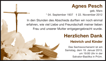 Traueranzeige von Agnes Pesch von WochenSpiegel