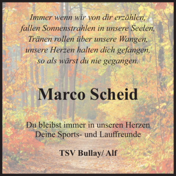 Traueranzeige von Marco Scheid von WochenSpiegel