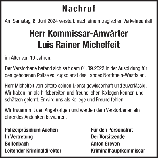 Traueranzeige von Luis Rainer Michelfeit von WochenSpiegel