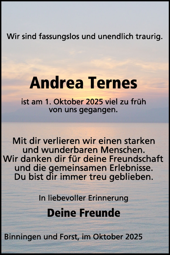Traueranzeige von Andrea Ternes von WochenSpiegel