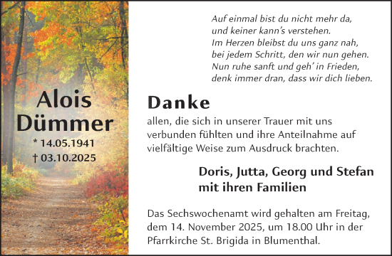 Traueranzeige von Alois Dümmer von WochenSpiegel